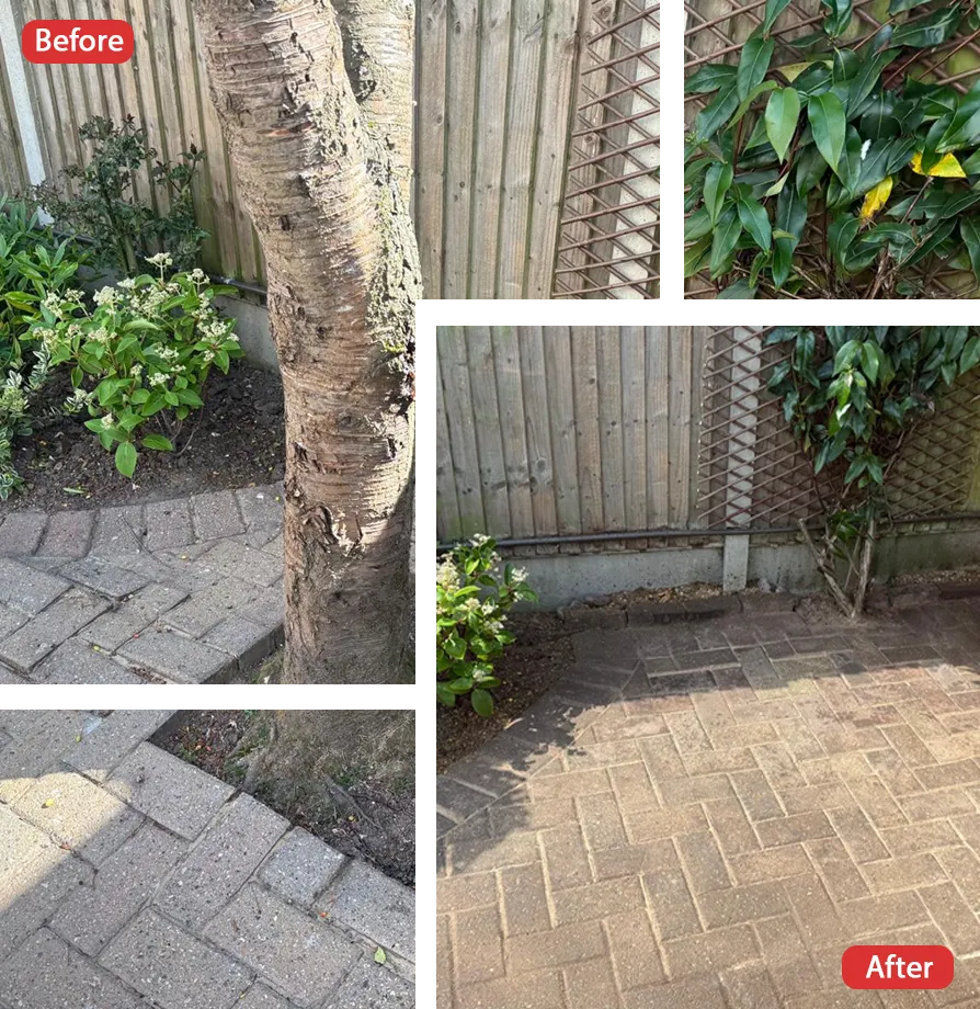 Tree Surgeon in Rainham